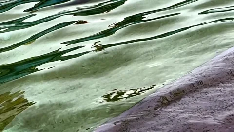 Waves roll in the pond Video stock 247574376