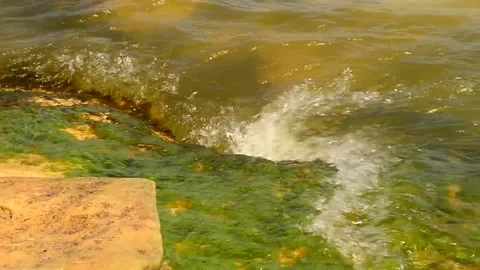 Waves roll on the rocks in the sea, close-up, macro photography. Stock Footage 157787089