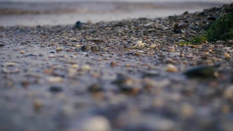 Waves roll on the sandy beach Stock Footage 80249517