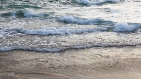 Waves that roll into the sandy shore. Stock Footage 153998491