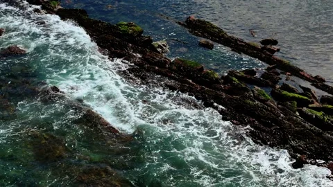 Waves rolling against moss covered coastal stones. Surf washing over algae Stock Footage 329066128