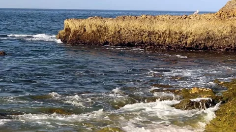 Waves rolling in from the Atlantic ocean across rocks. Stock Footage 64469779