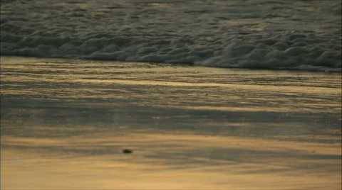 Waves Rolling onto the Beach Stock Footage 37708561
