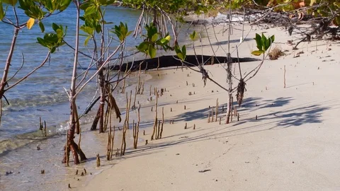 Waves rolling up on the beach Stock Footage 108519926