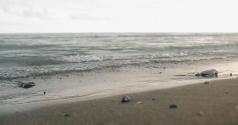 Waves Rolling  On The Beach On The Sunset. 4K, UHD. Stock Footage 156613988