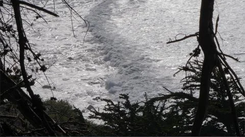 Waves rolling in behind silhouette branches Stock Photos