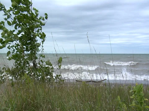 Waves rolling up on a grassy shore during a storm- wide-slo mo 06 Stock Footage 38630873