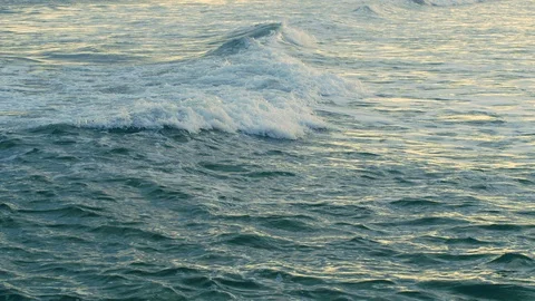 Waves rolling over the sea surface at sunset Stock Footage 102169508