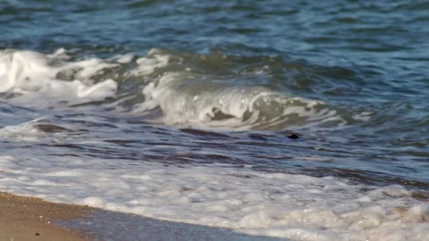 Waves Rolling Over Tropical Beach Sand 스톡 동영상 335669922