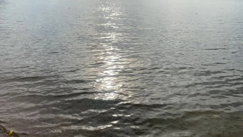 Waves rolling on the sand on the beach, beautiful landscape, lake, sun glare Stock Footage 242199511