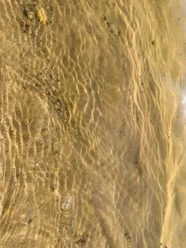 Waves rolling onto sandy shore with sunlight glistening on water surface, t.. Stock Photos