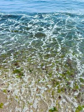 Waves rolling onto the shore at a beach with clear water and sandy bottom d.. Stock Photos