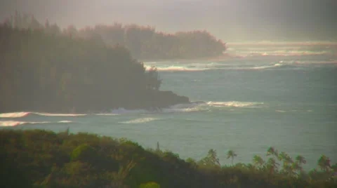 Waves rolling in to tropical coast Stock Footage 1019503