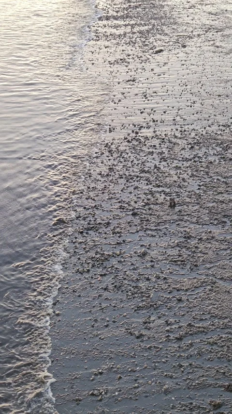 Waves run to the shore Stock Footage 274093434