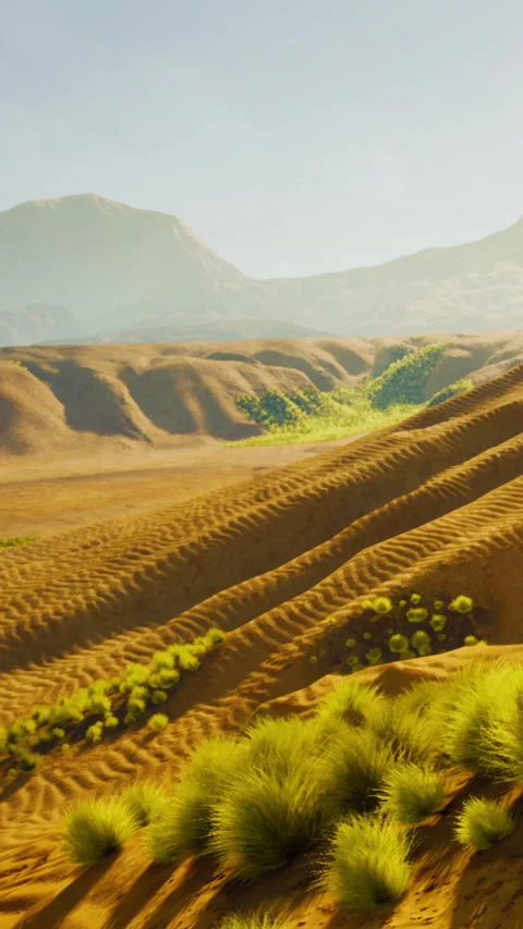 Waves of sand and greenery in a desert landscape during sunny day Stock Footage 339420957