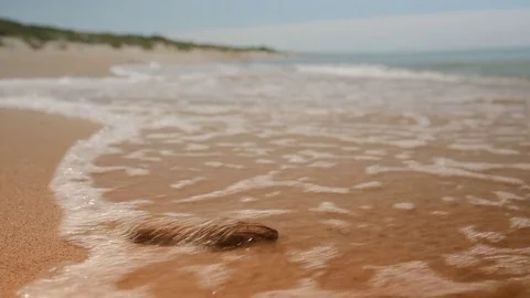 Waves on the sand beach Stock Footage 83434961