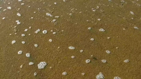 Waves on the sand bubbles slow Motion Video stock 85823167