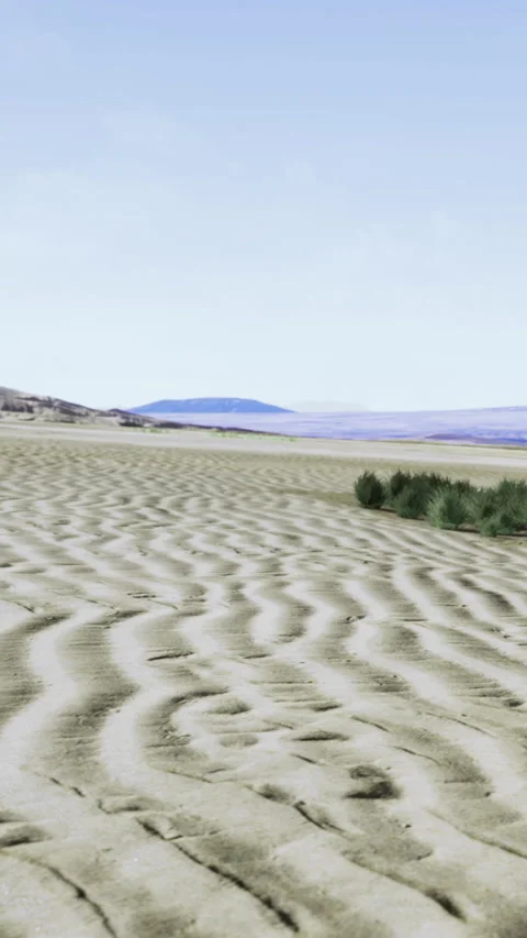 Waves of sand cover the desert ground, broken by small patches of grass Stock Footage 334890594