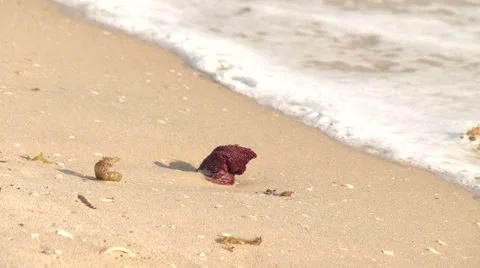 Waves on sand Stock Footage 45491410