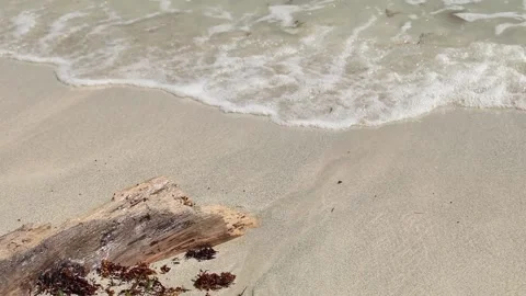 Waves on the Sand Stock Footage 231539664