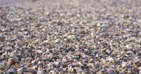 Waves on sand shells Stock Footage 163997383
