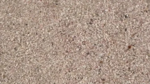 The waves on the sandy beach are reflected in the sunlight Stock Footage 314559617