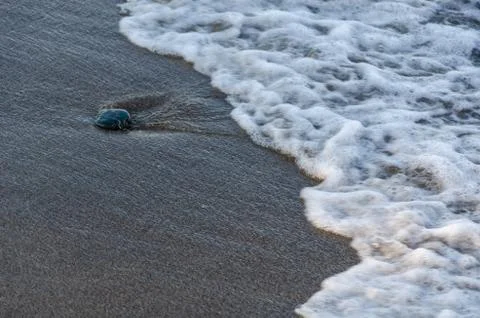 Waves on a sandy beach.  Background for web pages and printing. Stock Photos