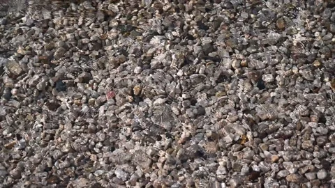 Waves on a sandy beach. Sea waves. Stock Footage 311977619