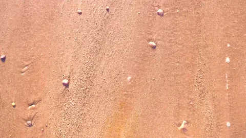 Waves in the sandy beach at summer, calming beach vibes Stock Footage 169696638