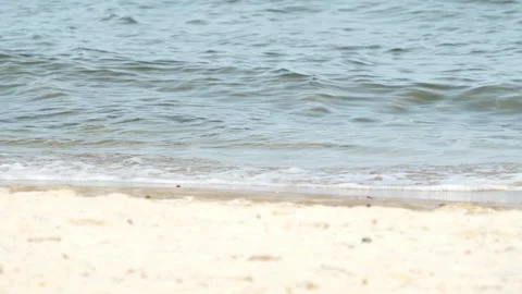 Waves at a sandy beach in summer, no color grading, slowmotion Stock Footage 286061592