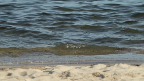 Waves at a sandy beach in summer, no color grading, slowmotion Stock Footage 286061883