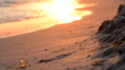 Waves on sandy beach at sunset Stock Footage 75011660