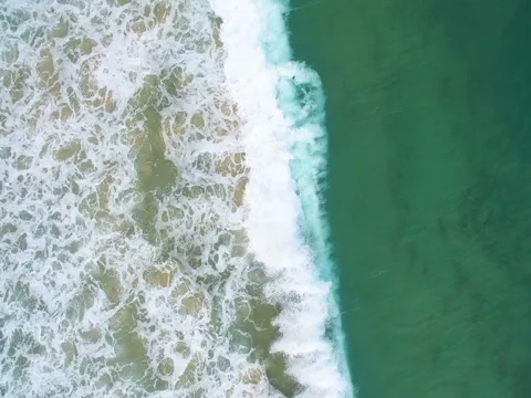 Waves, sandy birches and the green sea view from above 스톡 동영상 73048476
