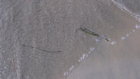 Waves on the sandy shore Stock Footage 161445241