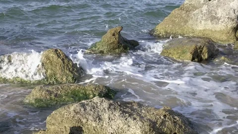 Waves of sea among the stones Video stock 321747053