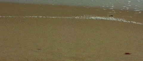 Waves of the sea and waves on the sand, steady shot Stock Footage 212461198