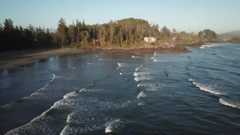 Waves at sea in canada. white waves at sea Shooting from a drone. Forest by the  Video stock 150684739