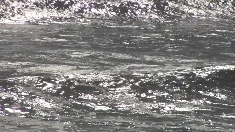 Waves in Sea during high tide Stock Footage 77113708