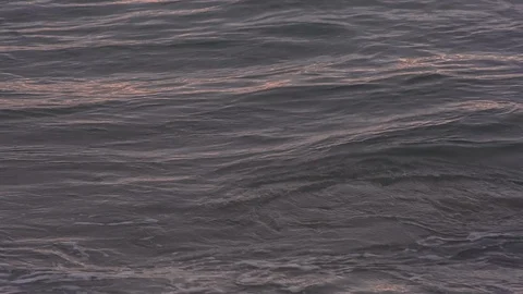 Waves on sea at dusk Vídeos de archivo 94884761