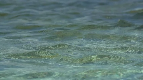 Waves on sea Stock Footage 77806714