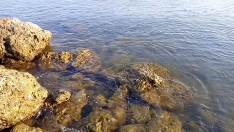 The waves of the sea that hit the big rocks gently in the afternoon Stock Footage 214623427