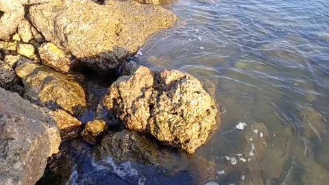 The waves of the sea that hit the big rocks gently in the afternoon Stock Footage 214631956