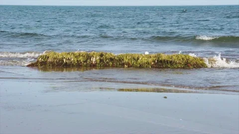 Waves in the sea hit the rocks Stock Footage 113899273