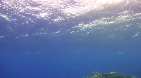 Waves of Sea Over the Coral Reef Stock Footage 51804599