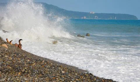 The waves of the sea Stock Photos