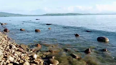 Waves on the sea. Seashore Stock Footage 323766508