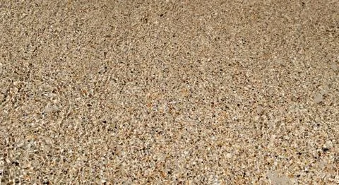 Waves of sea on shore.seashell on the beach.Seashore shells.Summer background Фото