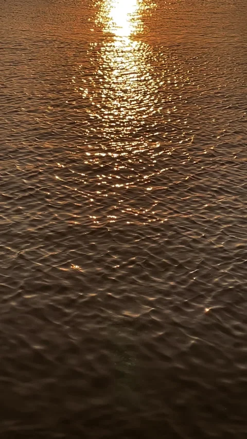 Waves on the sea at sunset Stock Footage 341893980