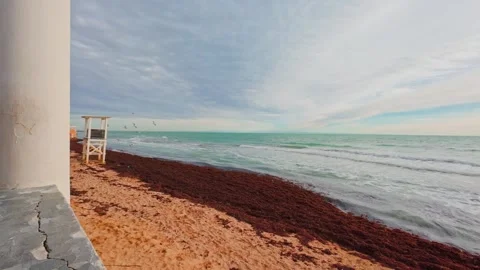 Waves on the sea, sunset, summer Stock Footage 261286356