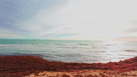 Waves on the sea, sunset, summer Stock Footage 261287514